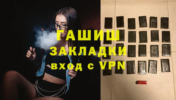 хмурый Ельня