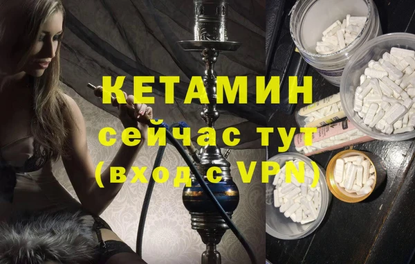 шишки Дмитриев