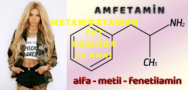 хмурый Ельня