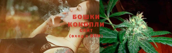 хмурый Ельня