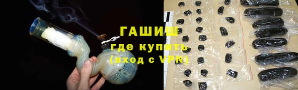 хмурый Ельня