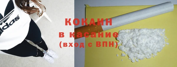 шишки Дмитриев