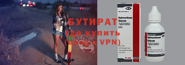 хмурый Ельня