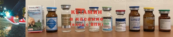 хмурый Ельня