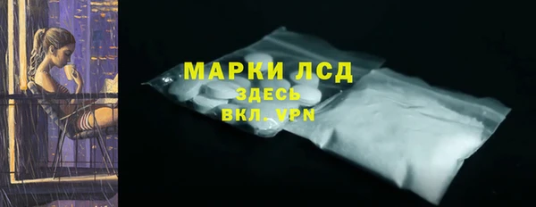 хмурый Ельня