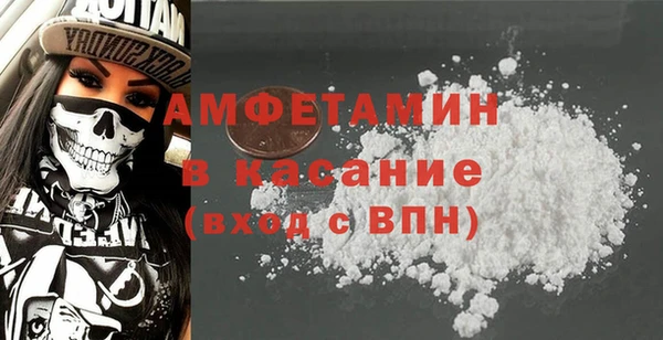 шишки Дмитриев