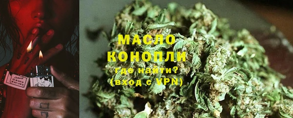 хмурый Ельня
