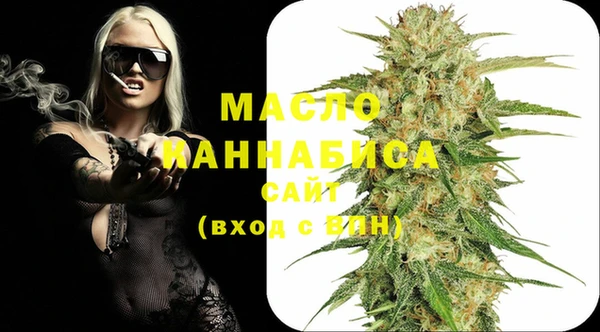 хмурый Ельня