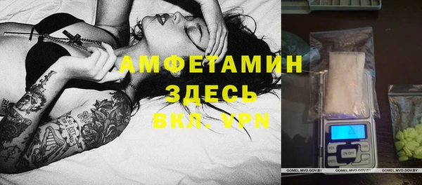 хмурый Ельня