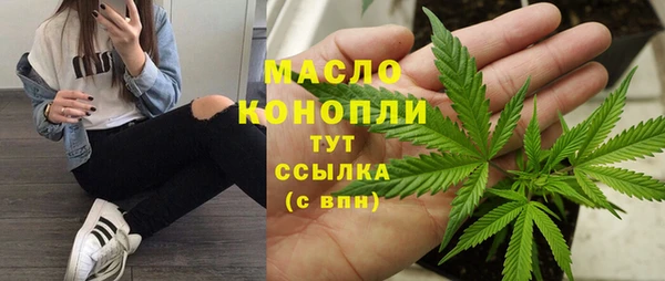 хмурый Ельня