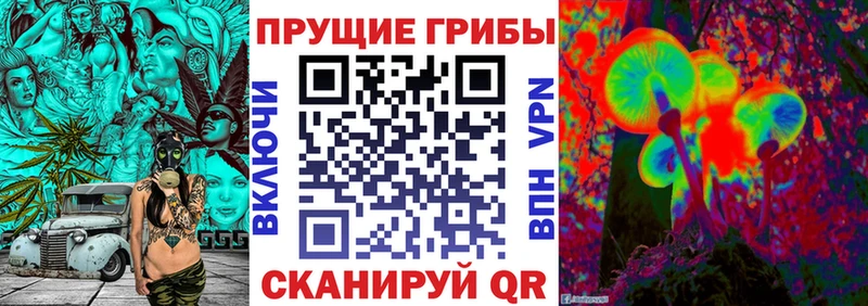 Псилоцибиновые грибы мухоморы Купить закладки Михайловка